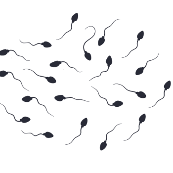astenospermia